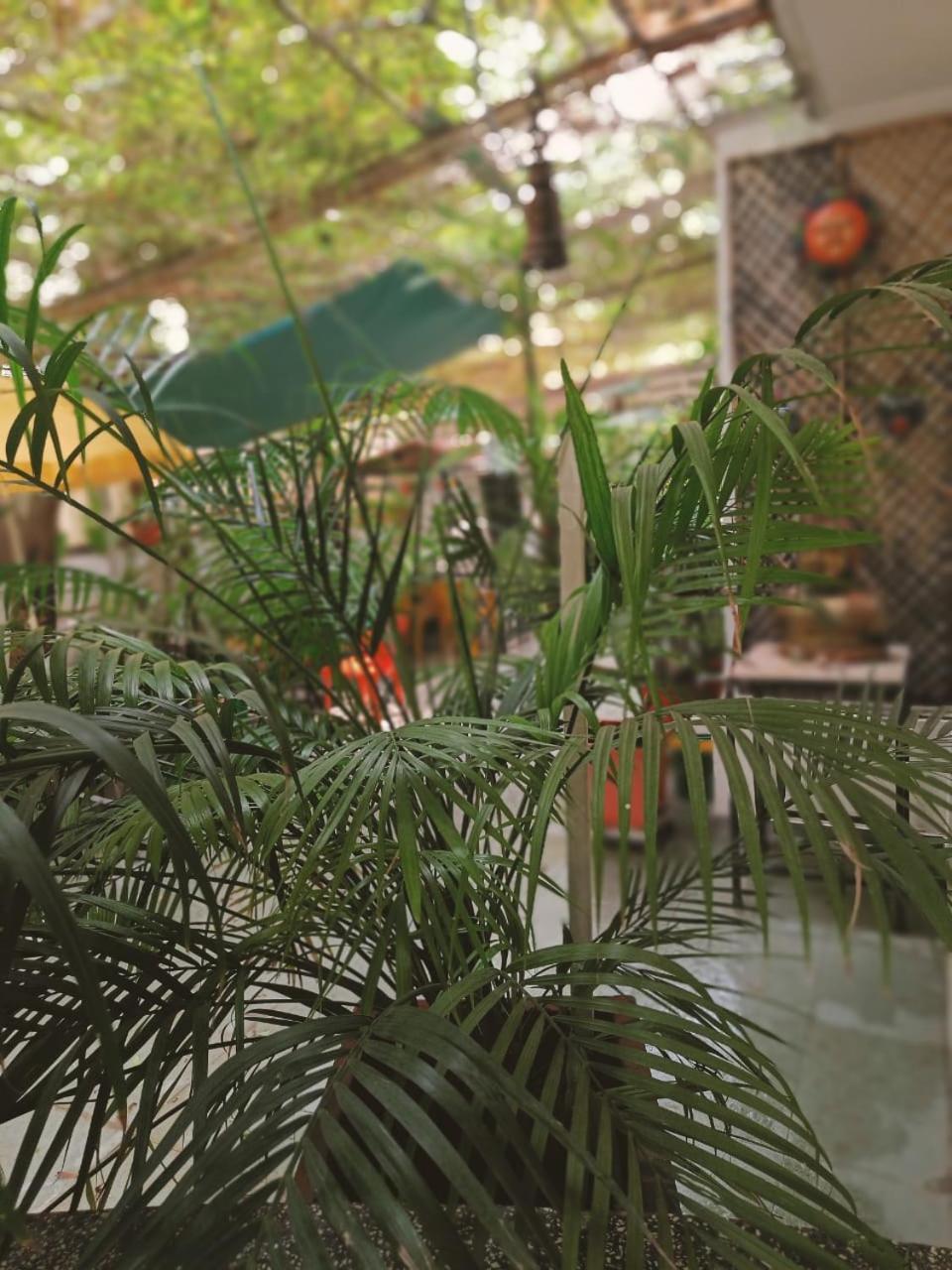 Srinekatan Heritage Villa Homestay Ahmedabad Bagian luar foto